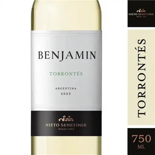 VINO BENJAMIN TORRONTES