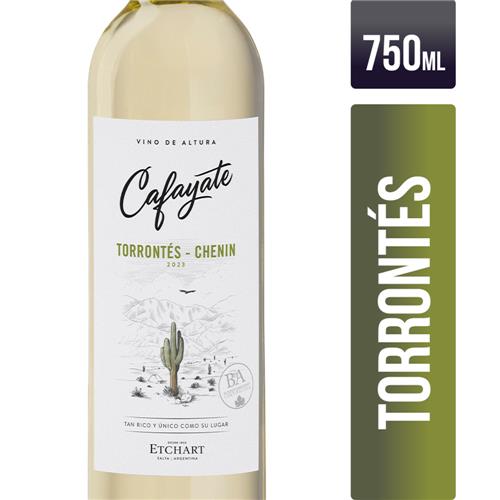 7790093993121 VINO ETCHART CAFAYATE 750 TORRONTES CHENIN