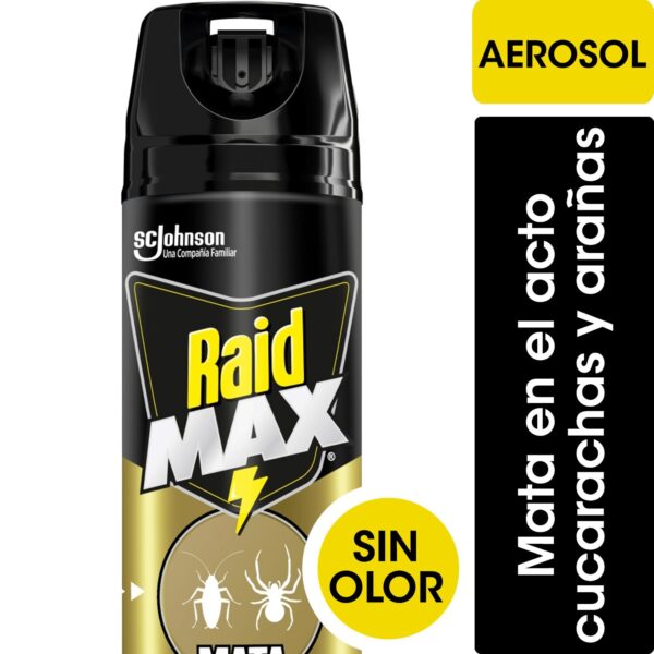 INSECTICIDA RAID 360 MAX