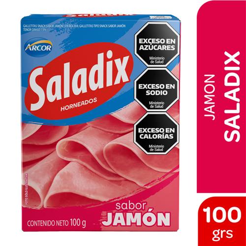 GALLETITAS SALADIX 100G JAMON ROU
