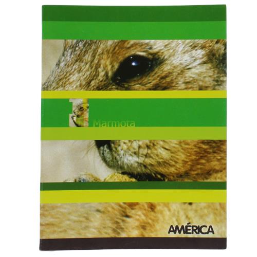 7792216238553 CUADERNO 48H T/F AMERICA ##############