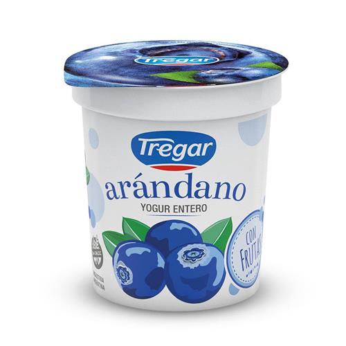 7793913013252 YOGUR TREGAR 160G FRUTAS ARANDANO